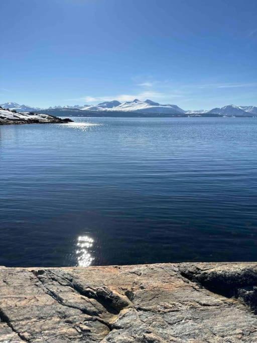 Nyt Stillheten I Et Hjem I Naturskjonne Omgivelser Molde